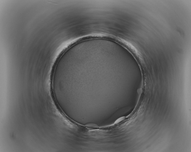 X0000112111327200908181339