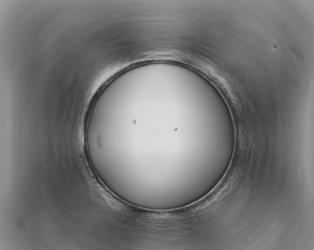 X0000112111328200908181339