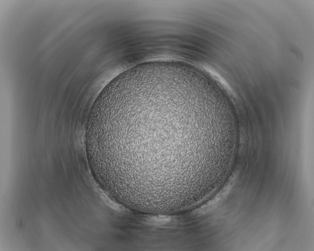 X0000112111329200908181339