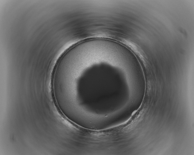 X0000112111331200908181339