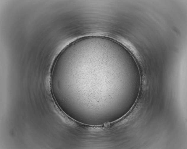 X0000112111332200908181339