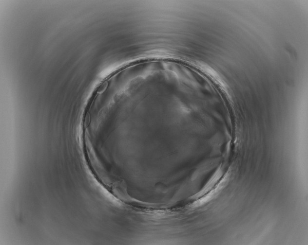 X0000112111334200908181339