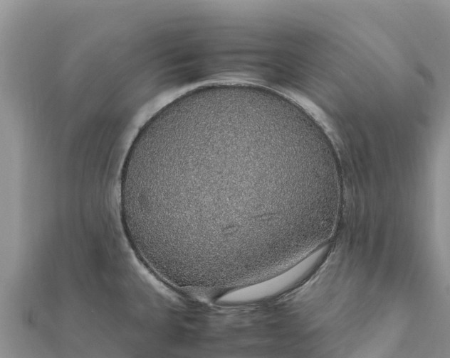 X0000112111335200908181339