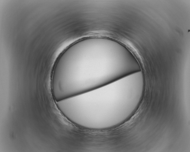 X0000112111336200908181339