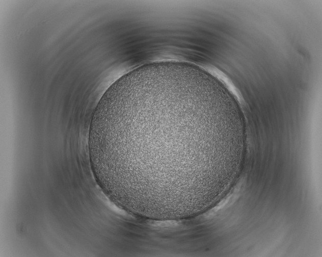 X0000112111337200908181339