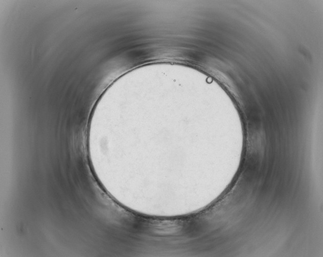 X0000112111338200908181339