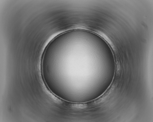 X0000112111339200908181339