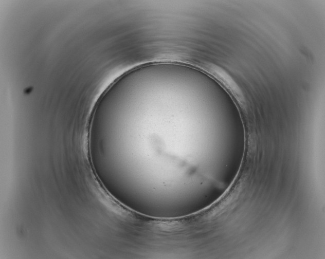 X0000112111340200908181339