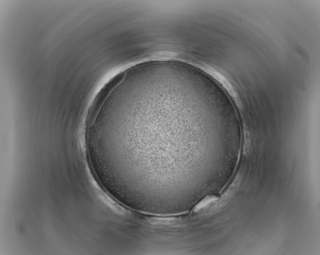 X0000112111342200908181339