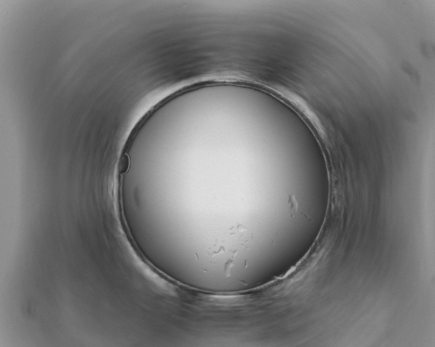 X0000112111343200908181339