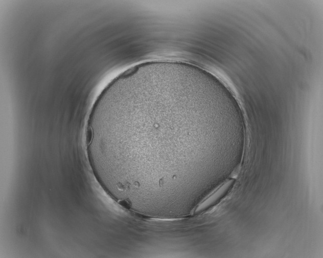 X0000112111344200908181339