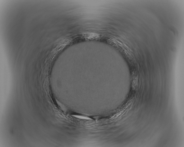 X0000112111345200908181339