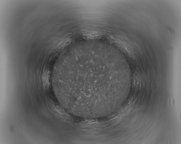 X0000112111346200908181339