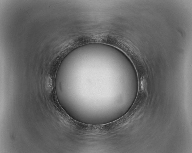 X0000112111347200908181339