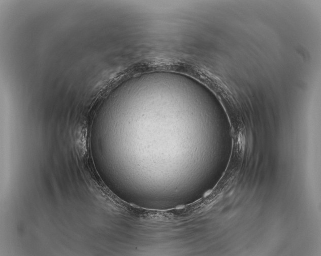 X0000112111348200908181339