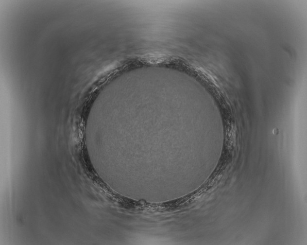 X0000112111349200908181339