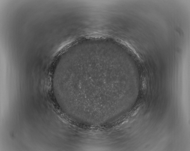 X0000112111350200908181339