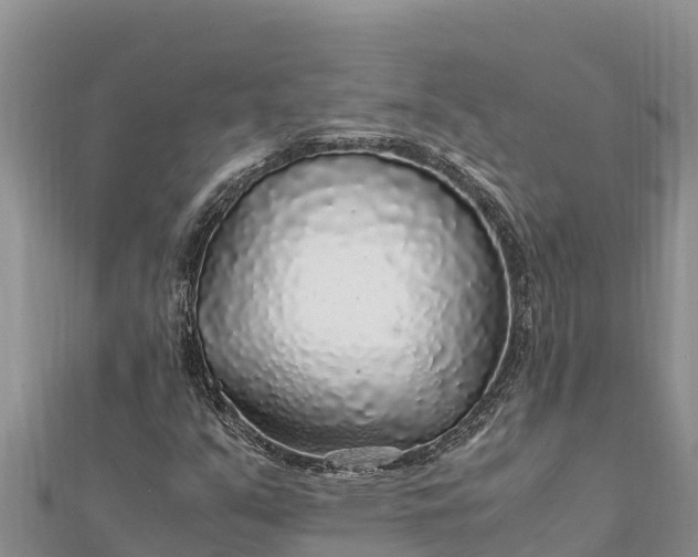 X0000112111351200908181339