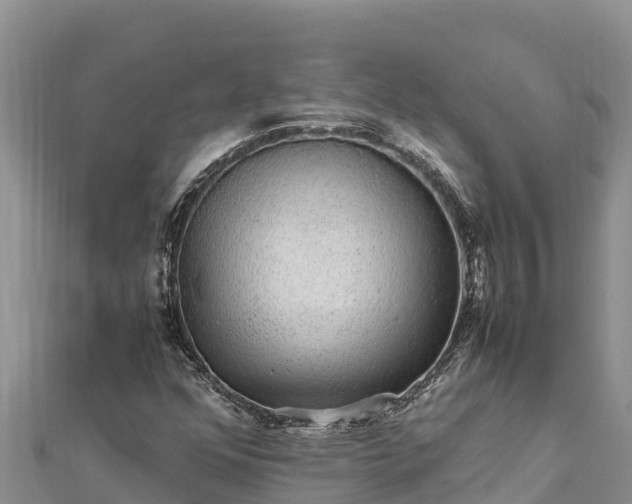 X0000112111352200908181339