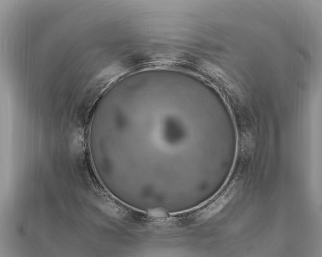 X0000112111353200908181339