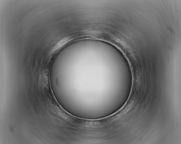 X0000112111354200908181339