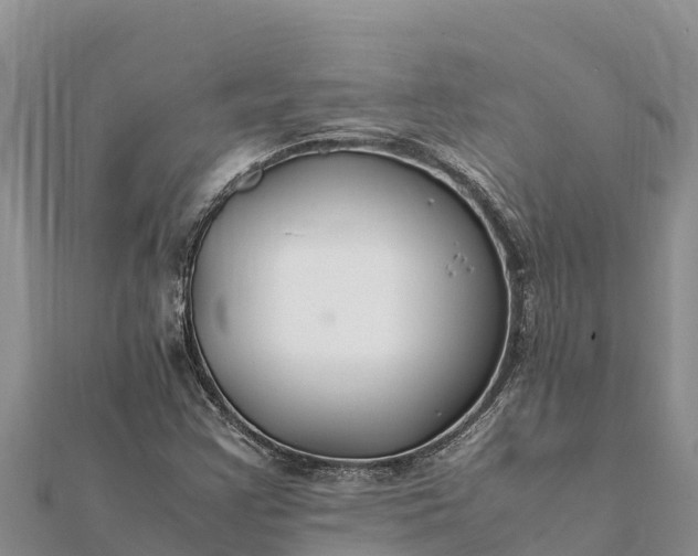 X0000112111355200908181339