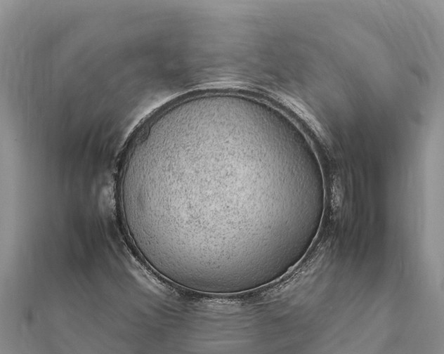 X0000112111356200908181339