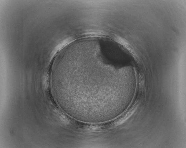 X0000112111357200908181338