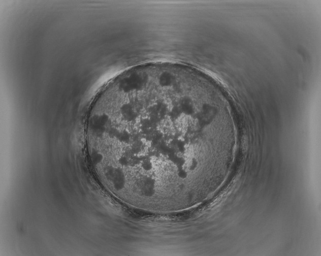 X0000112111359200908181338