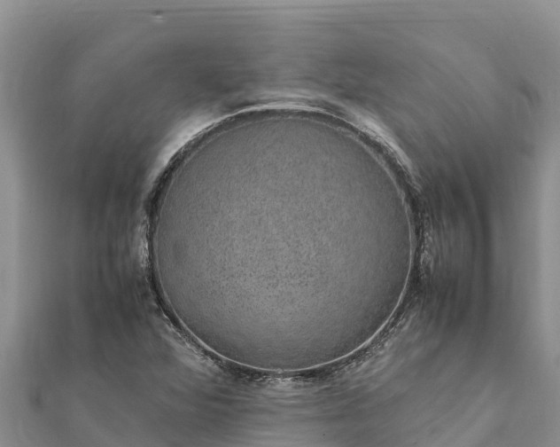 X0000112111360200908181338