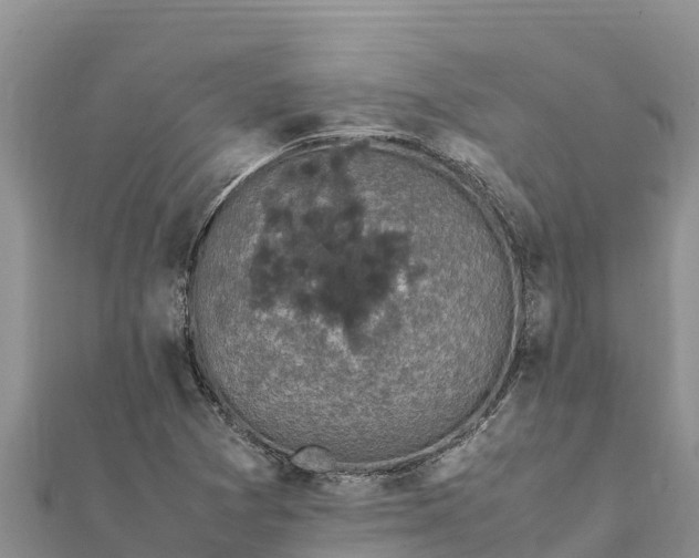 X0000112111361200908181338