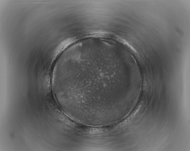 X0000112111362200908181338