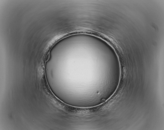 X0000112111363200908181338