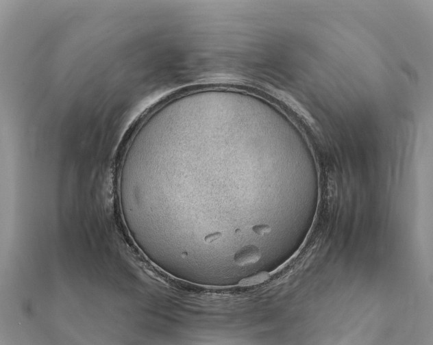 X0000112111364200908181338