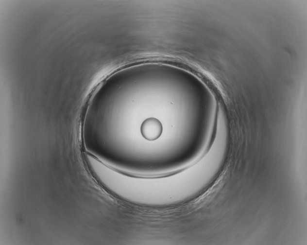 X0000112111365200908181338