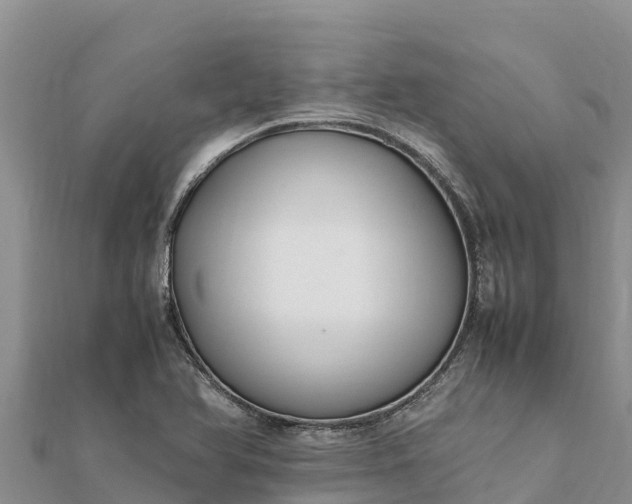 X0000112111366200908181338