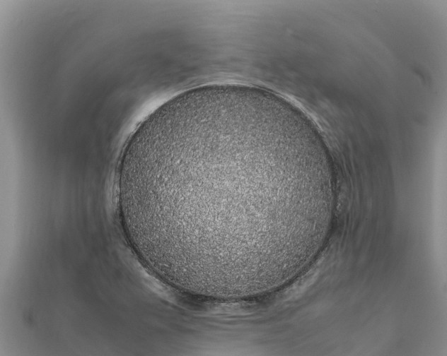 X0000112111367200908181338