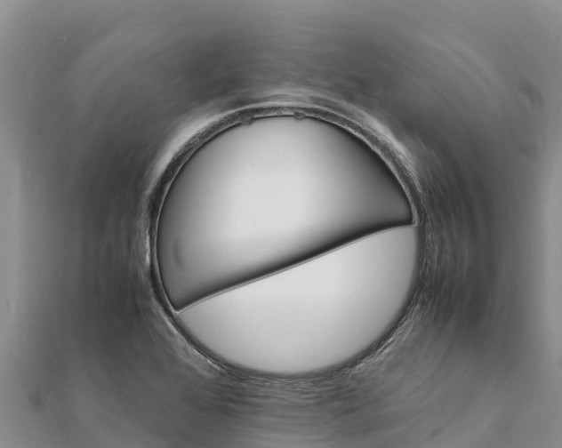 X0000112111368200908181338