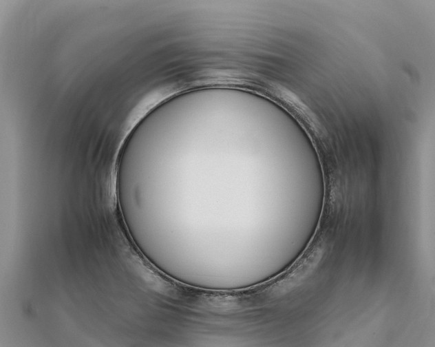 X0000112111370200908181338