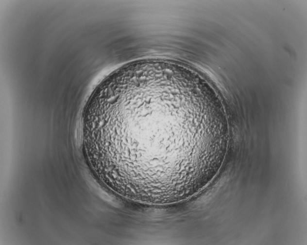 X0000112111371200908181338