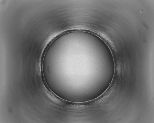 X0000112111372200908181338