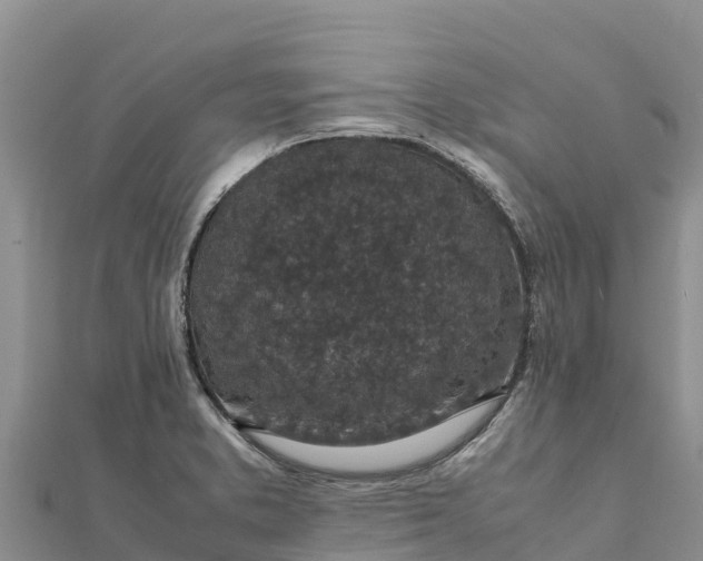 X0000112111373200908181338