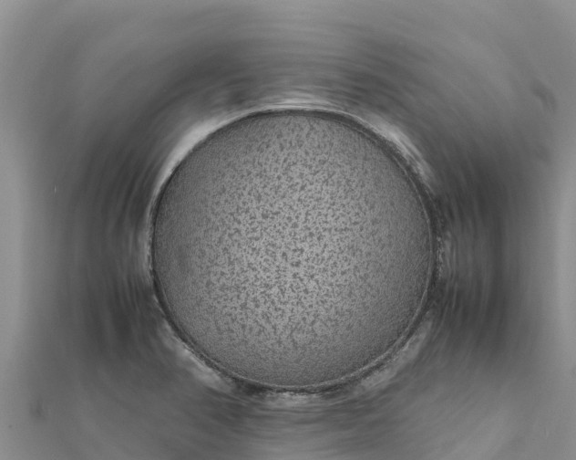 X0000112111374200908181338