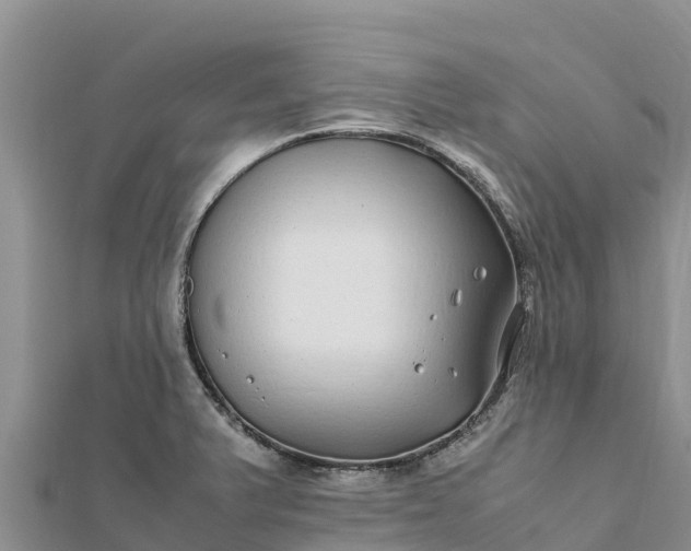 X0000112111375200908181338