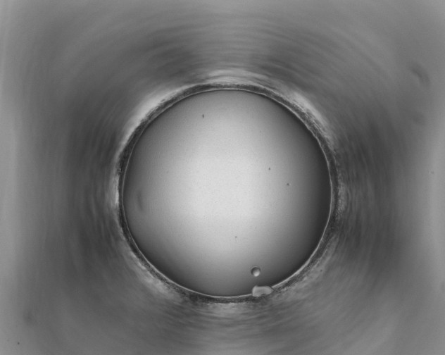 X0000112111376200908181338