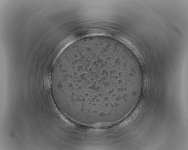 X0000112111377200908181338