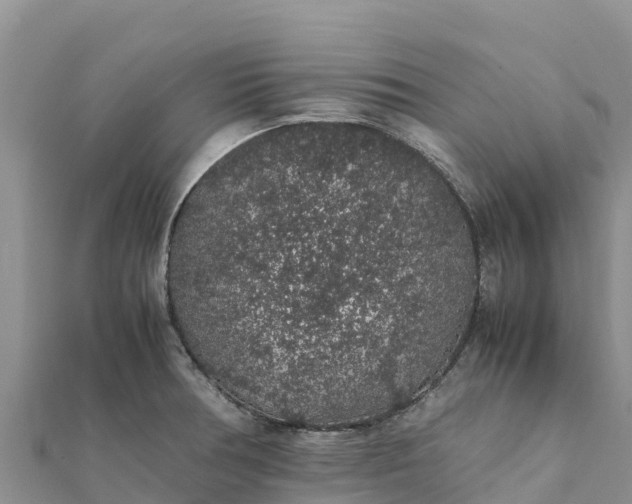 X0000112111378200908181338