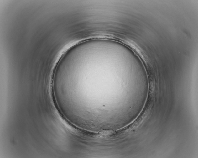 X0000112111379200908181338