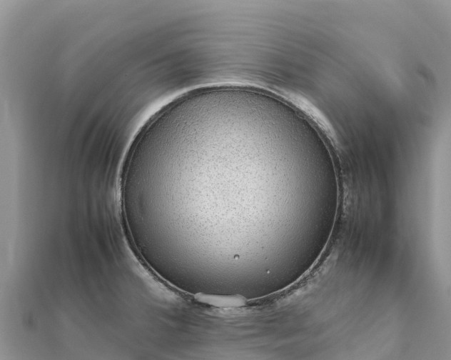 X0000112111380200908181338