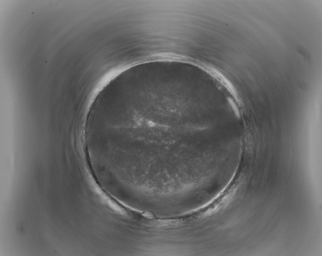 X0000112111381200908181338